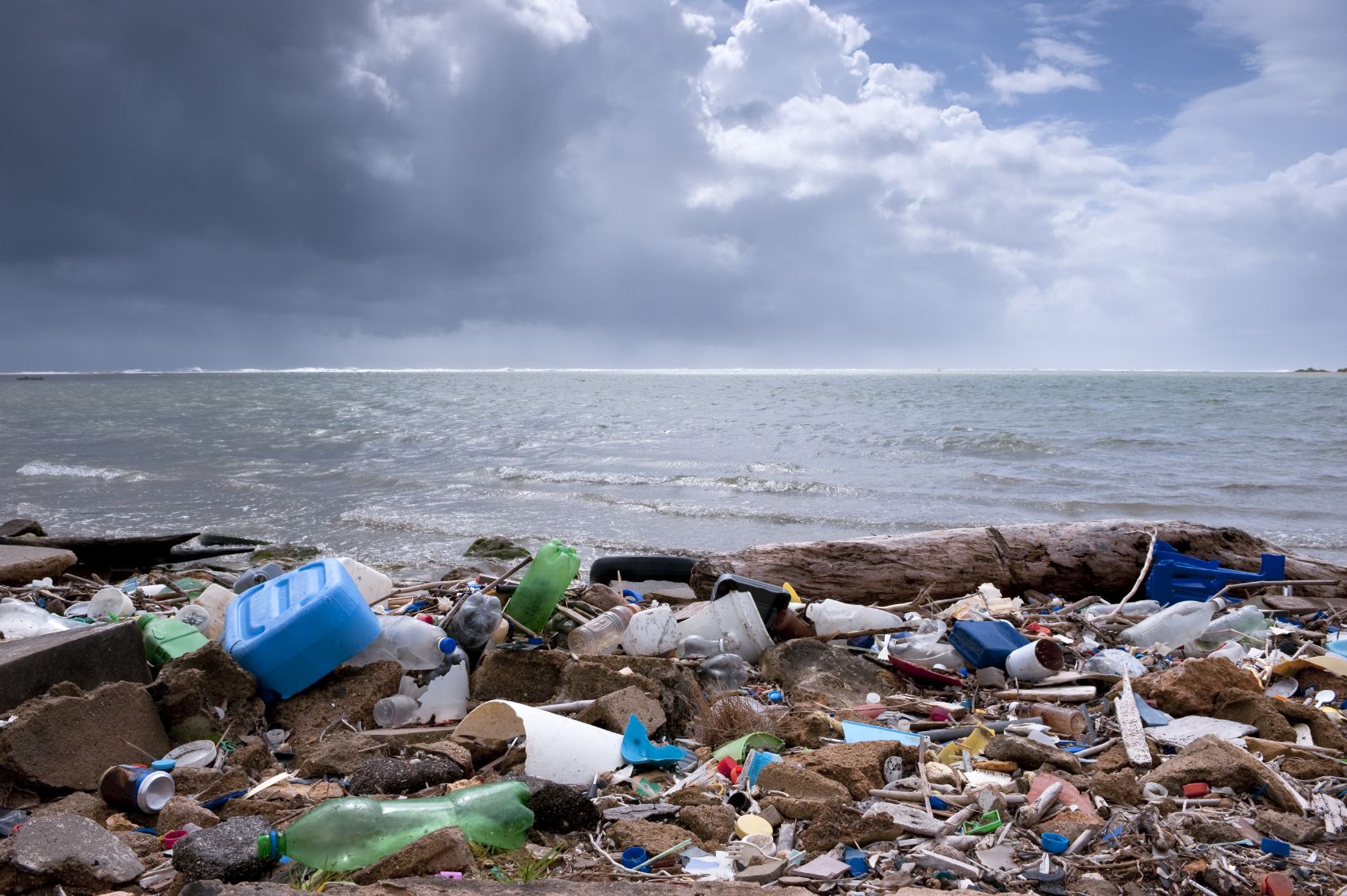 Laut der Meeresschutzorganisation gibt es keinen Strand der Welt, der nicht mit Mikroplastik durchsetzt ist.
