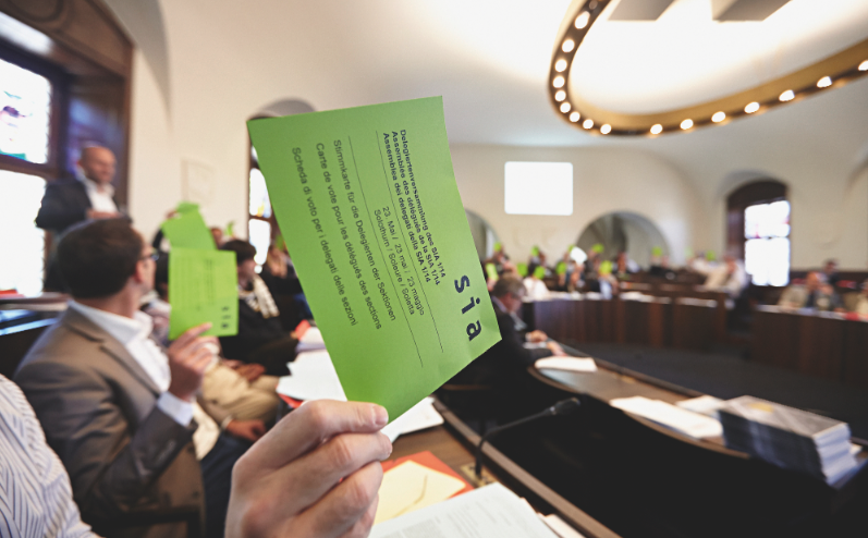 Hoch die Karten: Weitgehend einstimmig verliefen die Abstimmungen der rund 50 im Solothurner Kantonsratsaal versammelten Delegierten. (Foto: Reto Schlatter)