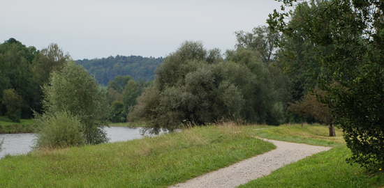 Der bestehende Limmatuferweg wurde über weite Strecken neu geführt und signalisiert. (Bild: Baudirektion des Kantons Zürich)