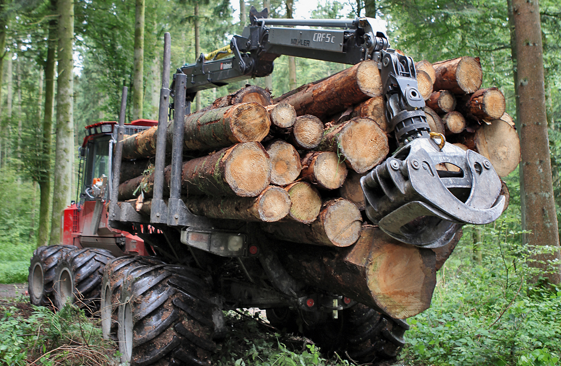 Beim Holztransport mit Rückfahrzeugen entstehen die grössten Belastungen.