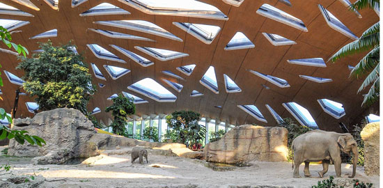 Elefantenpark Kaeng Krachan