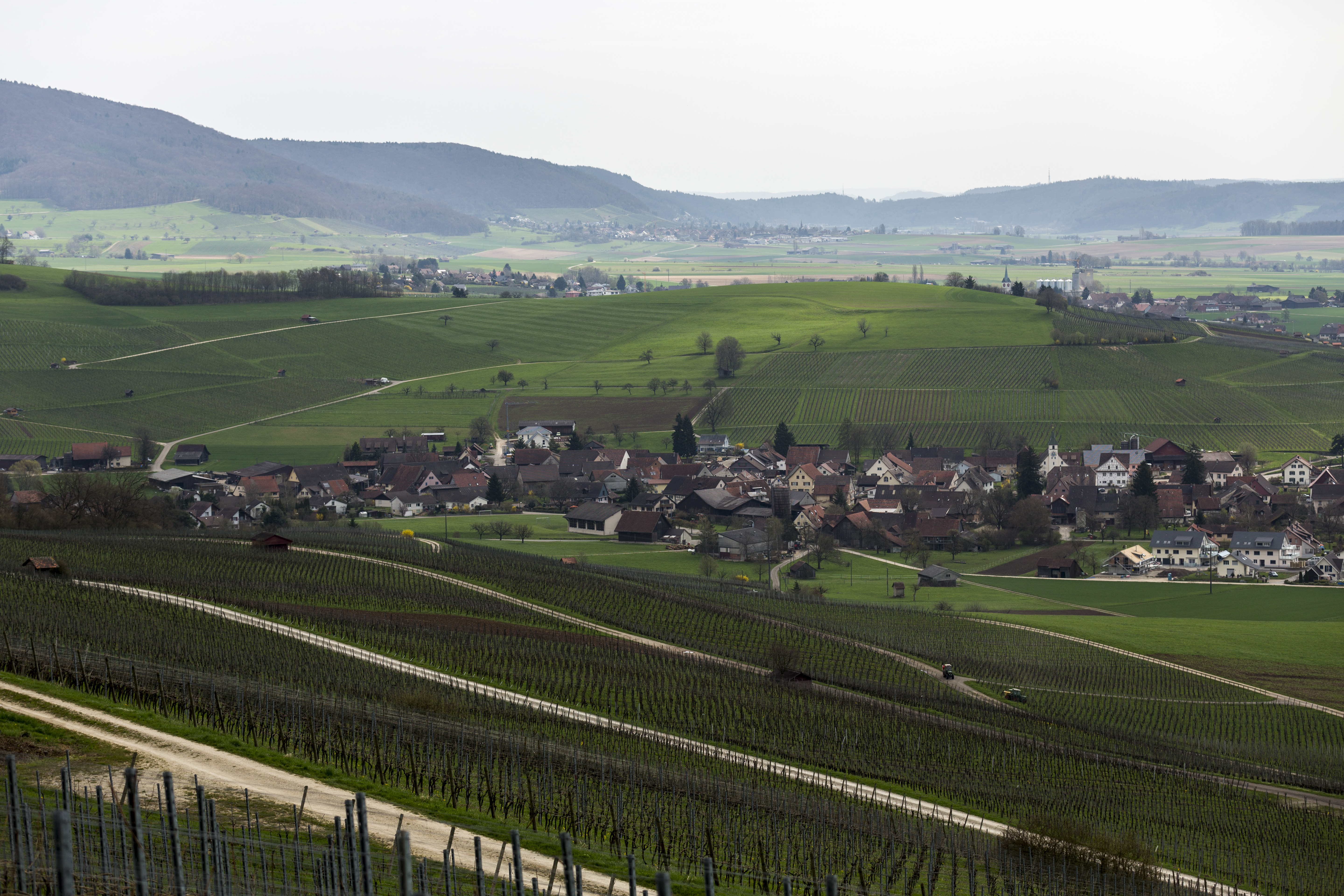 Das Gebiet um Neunkirch im Kanton Schaffhausen gilt als möglicher Standort für ein Tiefenlager für radioaktive Abfälle. Mit dem neuen Teilrichtplan «Geologisches Tiefenlager» will der Kanton dagegen Position beziehen.