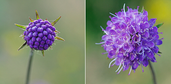 MTQzODMzMTg1OC0zNjc1ODk1MTUwLTE0NzM3LTA=.jpg
