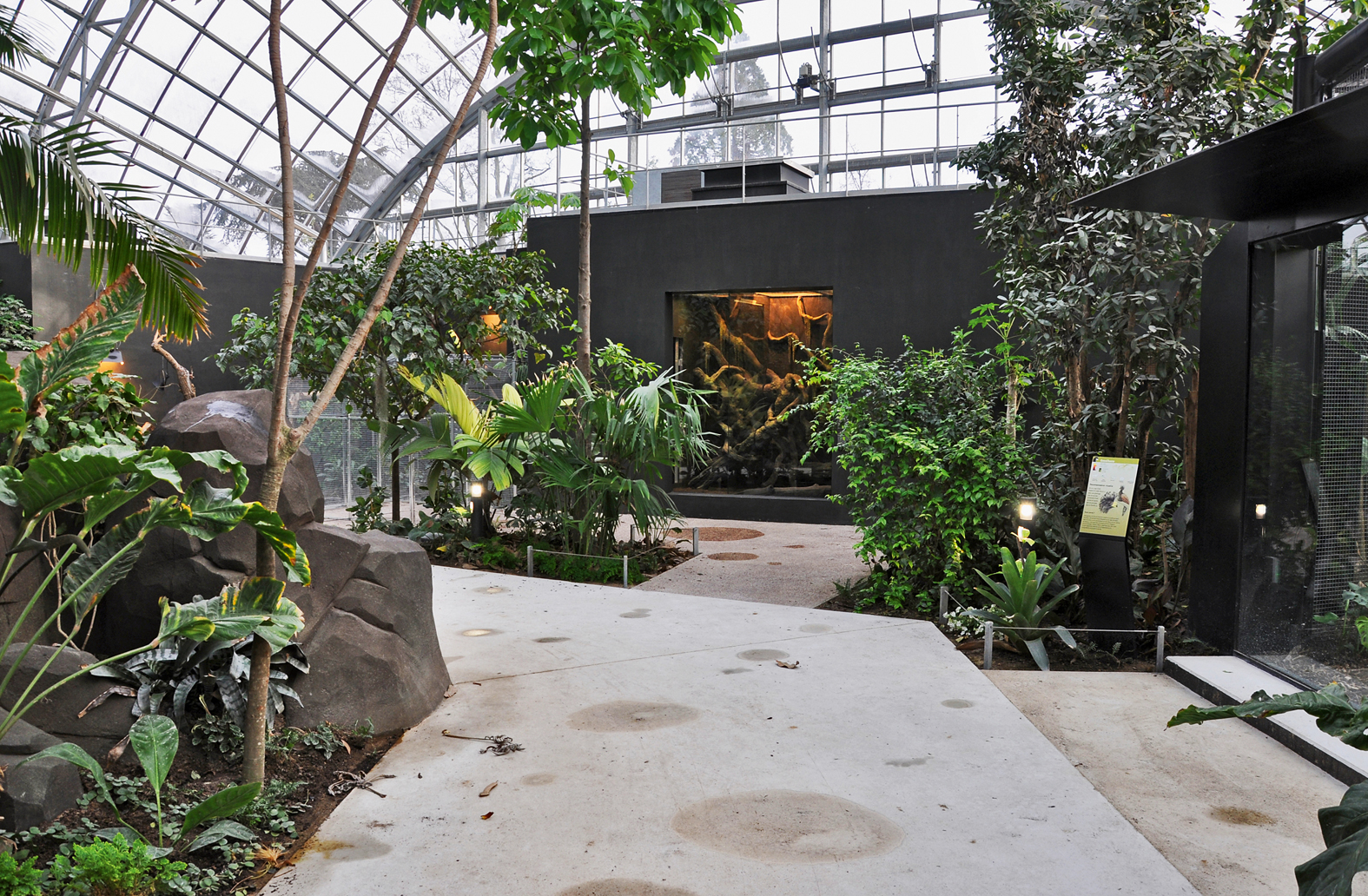 Die offen ins Tropenhaus eingestellten Reptilien-Vivarien gehören zu den von el hassani &amp; keller gestalteten Interieurs im Zoo von Paris.