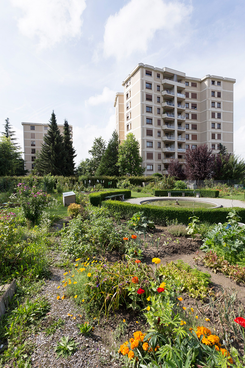 Plantage du Désert