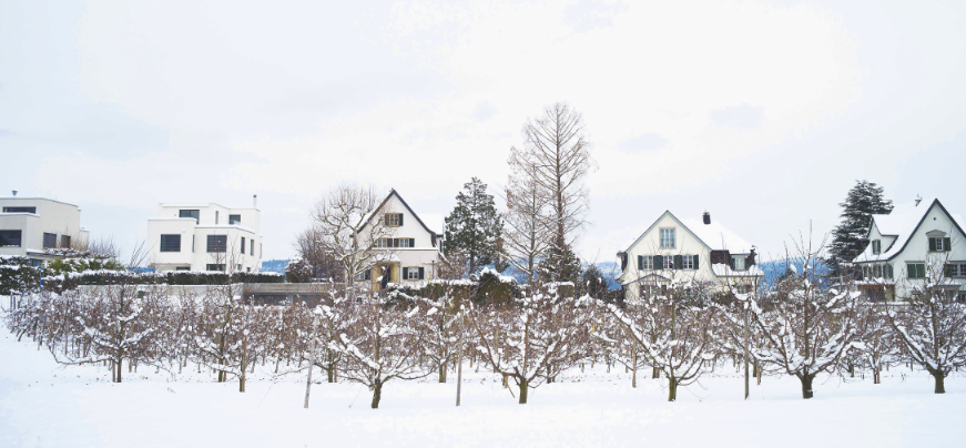 Hüsli-Pest? Winterliche Obstwiese vor lockerer Wohnbebauung in Kilchberg am Zürichsee. (Foto: Yves Maurer Weisbrod)