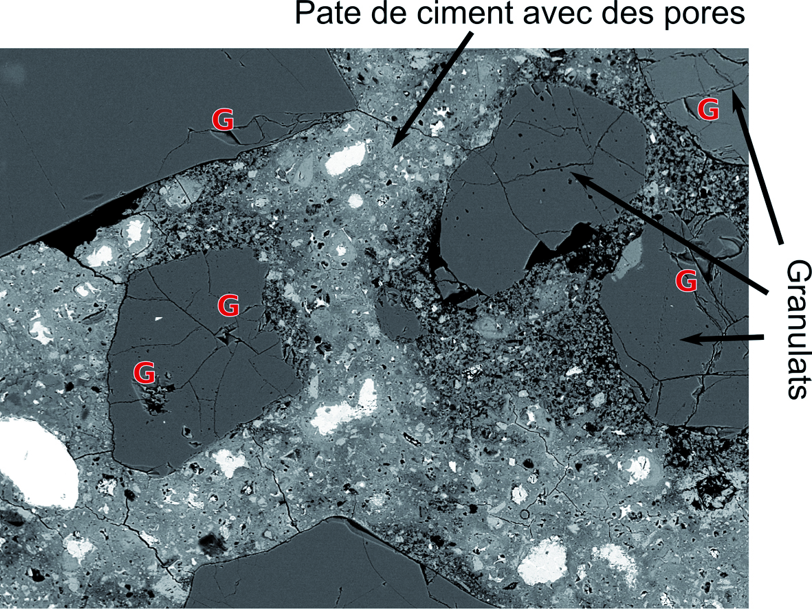 Vue en coupe d’un béton affecté par la RAG. Les zones de gel sont marquées en rouge.