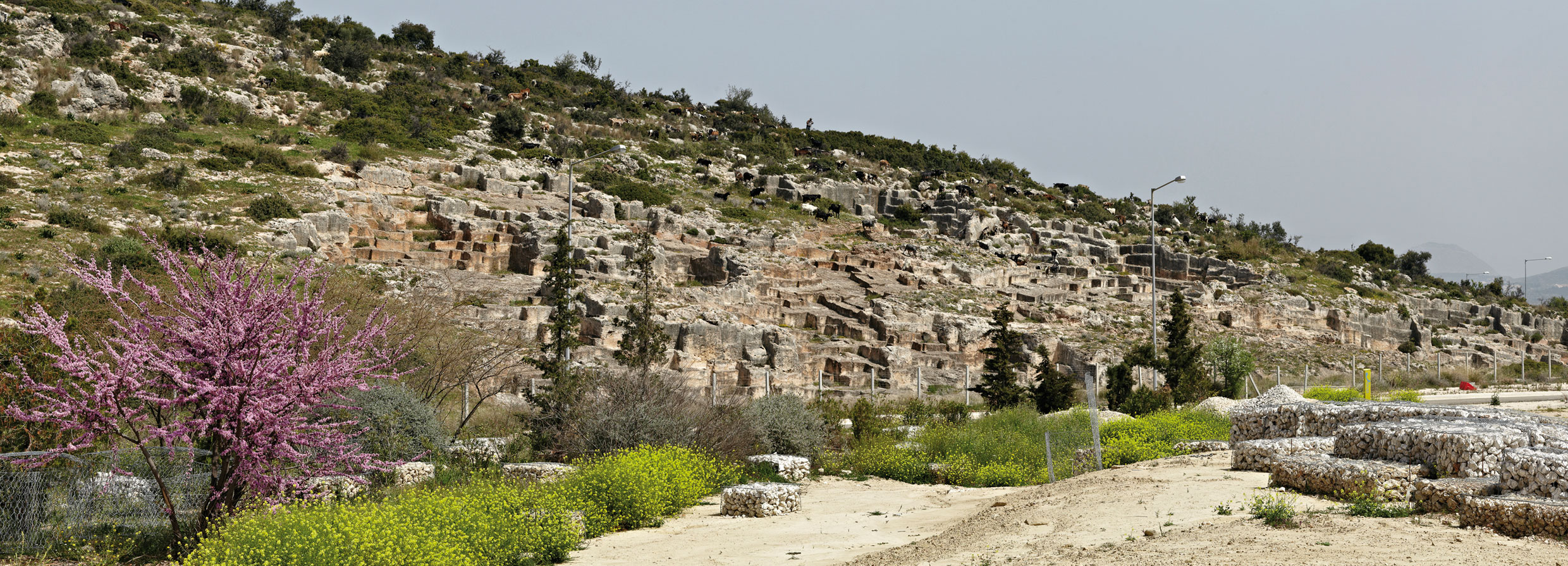 Vue du site