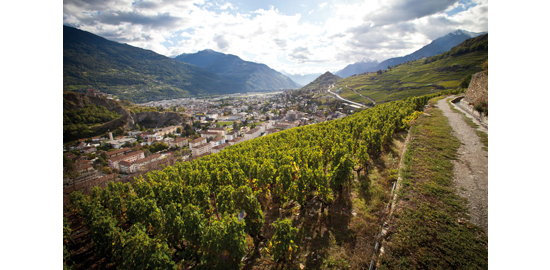 Vue depuis le coteau de la rive gauche