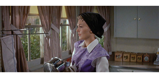 Strangers when we meet, Richard Quine, 1960