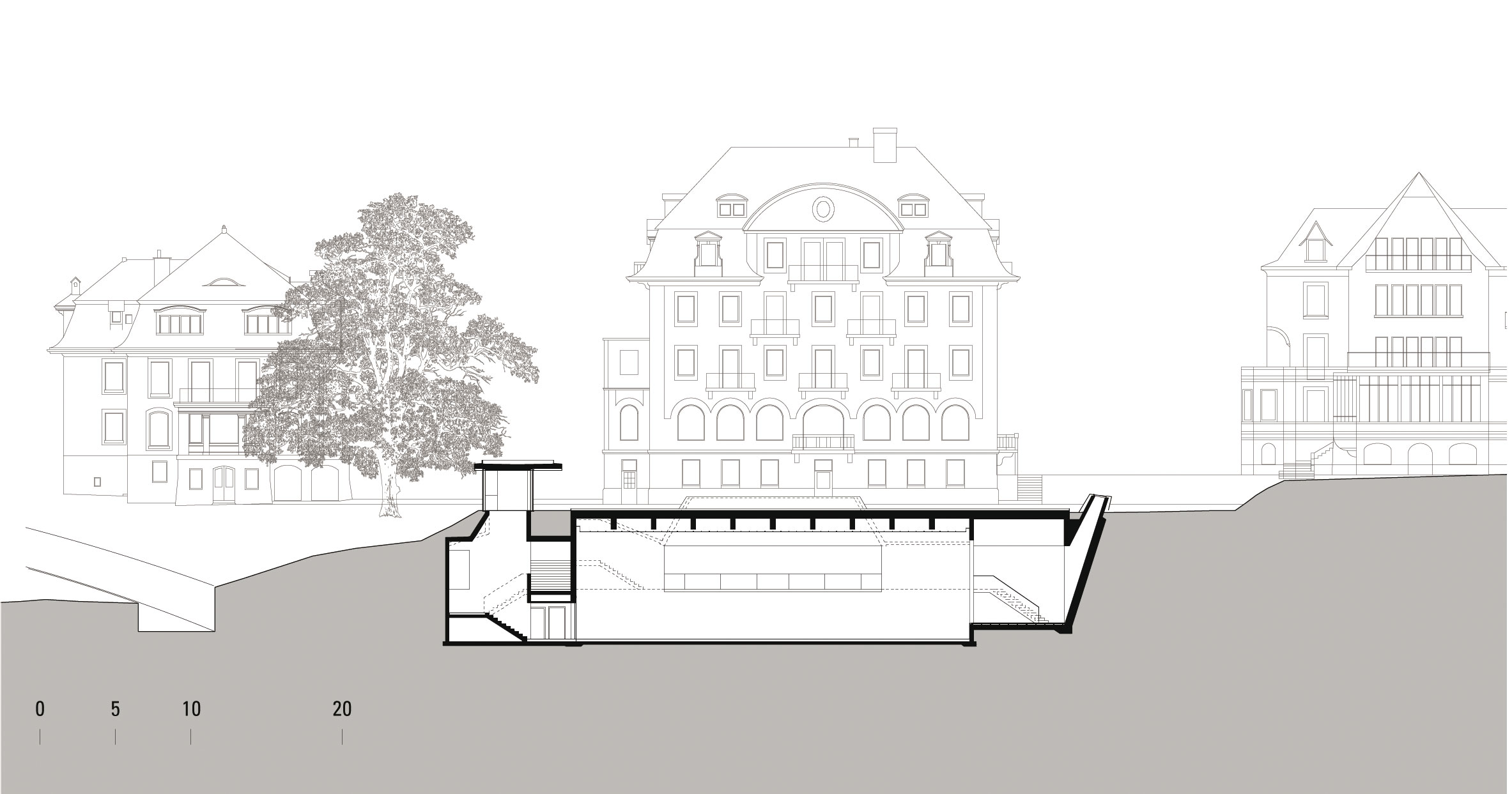 Coupe longitudinale