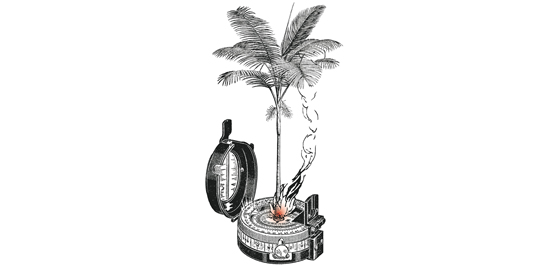 Illustration Bruno Souêtre