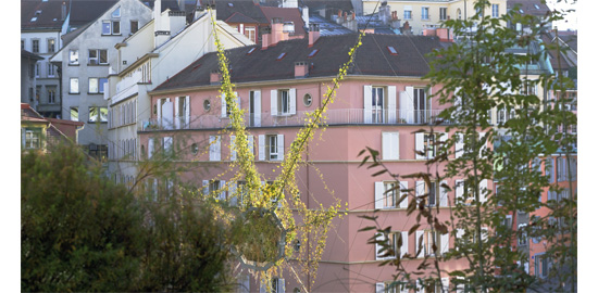 Green trap, Christophe Ponceau et Adrien Rovero, 2009