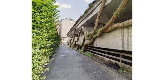 Rolling garden, Fernando Lafuente, Sven Adler, Gabino Carballo, Eduardo Casado, Edith Savere. Des tubes en chanvre enserrent le substrat rigidifié au centre par un tuyau d’arrosage: la forme provient de la fonction.