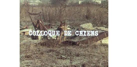 Image tirée du film "Colloque de chiens", réalisé par Raoul Ruiz en 1977