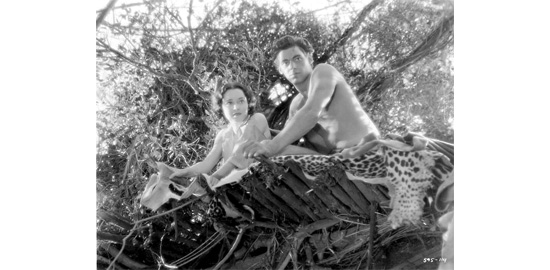 Image tirée du film "Tarzan, l'homme singe", réalisé par W. S. Van Dyke en 1932