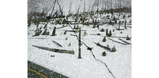 Tent-Camera Image on Ground?: View of Tower Hill, Yellowstone National Park, Wyoming, 2013 (Abelardo Morell)