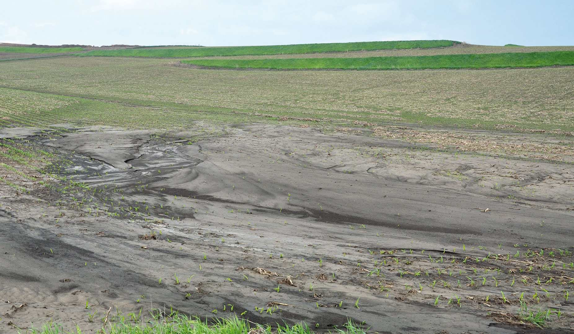 Alluvion dans un champ et érosion des berges d’un cours d’eau dans l’ouest de l’Iowa, suite à une forte pluie.
