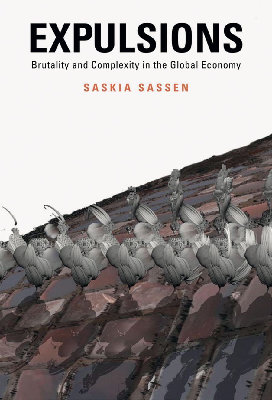 Couverture du livre de Saskia Sassen "Expulsions?: Brutality and Complexity in the Global Economy"