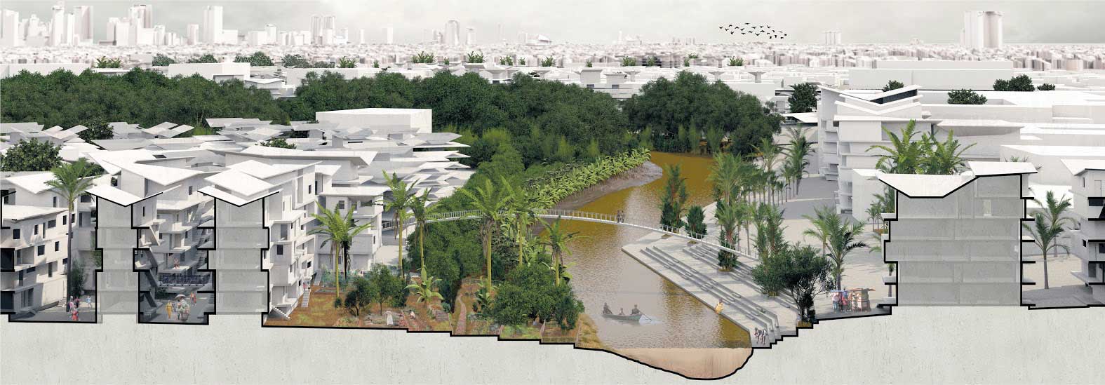Coupe transversale du fleuve Ciliwung entre les rives de Bukit Duri et de Kampung Polo. Les berges sont aménagées pour la production locale de nourriture, et les accès au fleuve se font par des escaliers.