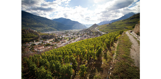 Vue depuis le coteau de la rive gauche