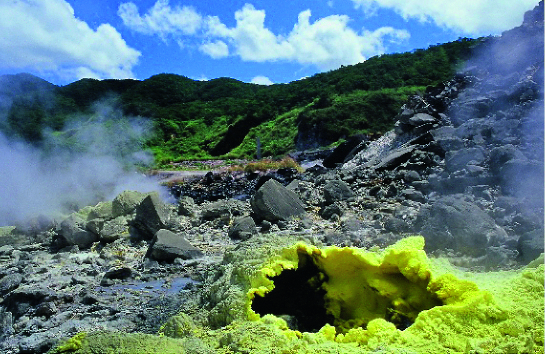 Vulkanische Landschaft im Yangmingshan (Foto: Chien-Lin Hsu)