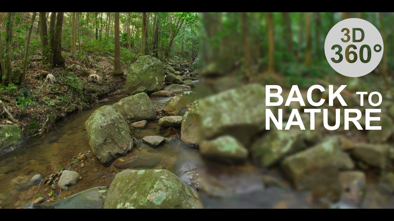 Preview image for the video "YouTube Video (iPwlNh48eYk)" - Thumbnail.